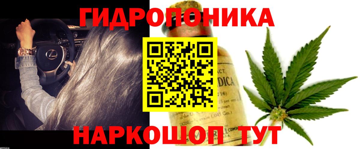 Бошки Шишки гибрид Гусь-Хрустальный